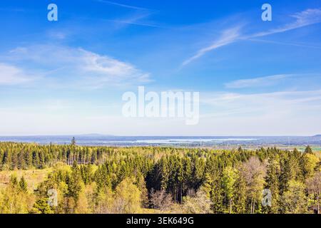 Blick aus der Vogelperspektive über die Baumkronen in einem Mischwald mit üppig grünen Bäumen im Frühling Stockfoto