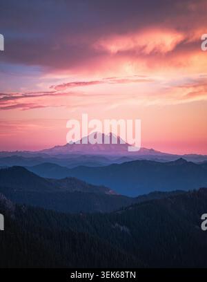 Mount Rainier leuchtet während eines wunderschönen rosa Sonnenuntergangs Stockfoto