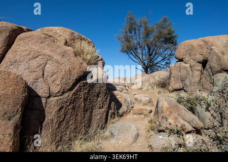 Der felsige Wüstenpfad schlängelt sich durch Granitfelsen Stockfoto