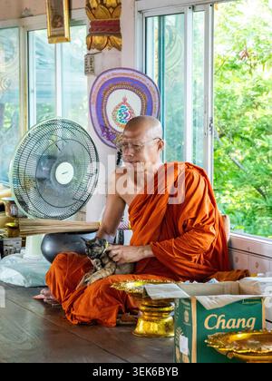 Koh Loy, Thailand. 31. Mai 2026. Ein Mönch sitzt mit einer Katze neben einem offenen Fenster und einem Ventilator im Wat Koh Loy Tempel auf Koh Loy Island. Wat Koh Loy (Sri Maharacha Tempel) steht auf dem höchsten Punkt von Koh Loy, einer kleinen Insel 500 Meter vor der Küste von Si Racha, Chon Buri, die mit dem Festland durch eine Brücke verbunden ist. Quelle: SOPA Images Limited/Alamy Live News Stockfoto