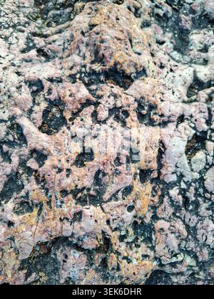 Sehen Sie sich eine Meeresfelsoberfläche mit verwitterter Textur an. Der Felsen zeigt vulkanische Muster in rosa, weiß und schwarz. Diese Formation gibt insig Stockfoto