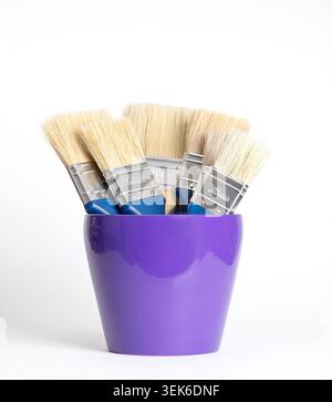 Flache Bürsten mit natürlichen hellen Borsten in einem violetten Blumentopf. Fünf dicke Pinsel unterschiedlicher Breite, in einen Blumentopf gelegt. Stockfoto