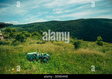 Altes landwirtschaftliches Traktorspielzeug auf grüner Wiese mit Panoramablick auf die Wälder unter blauem Himmel, friedliche ländliche Landschaft, selektiver Fokus Stockfoto