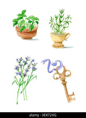 Aquarell frisches grünes Basilikum im Topf Rosmarin in Tasse Lavendelbouquet und Vintage-Schlüssel isoliert auf weißem Hintergrund. Handgezeichnete botanische Illustration Stockfoto