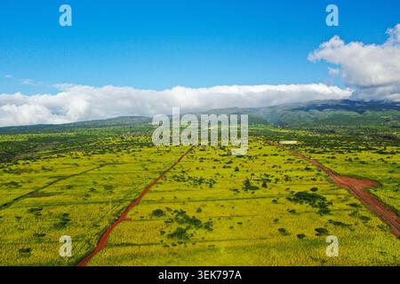 Ein atemberaubender Blick aus der Luft auf weitläufige grüne Felder und eine markante rote Feldstraße, die sich an einem sonnigen Tag in Maui, Hawaii, durch die Landschaft zieht. Th Stockfoto