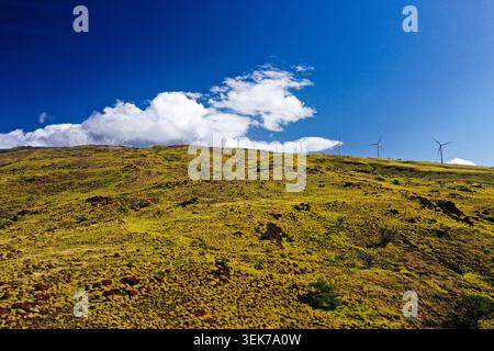 Eine Luftaufnahme mehrerer Windturbinen auf einem grasbewachsenen Hügel unter einem klaren blauen Himmel in Maui, Hawaii. Die lebhafte grüne Vegetation steht im Kontrast zur Stockfoto