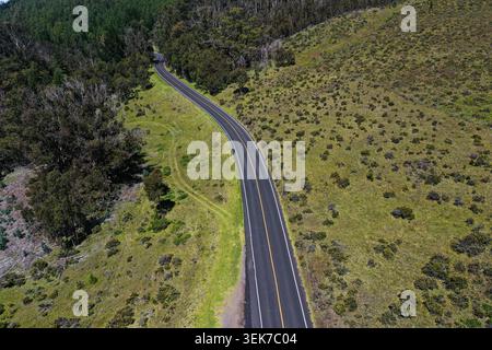 Aus der Vogelperspektive einer kurvenreichen Straße, die durch die grüne Landschaft von Maui, Hawaii, führt. Die Straße ist von dichtem Grün und kargen Sträuchern umgeben, eingerahmt von nat Stockfoto