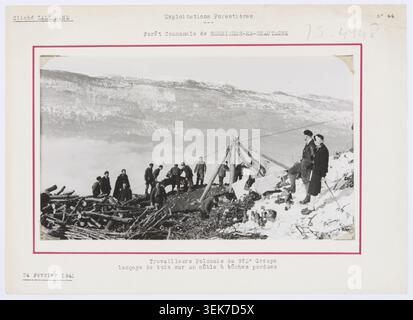 Pierre-Charles Lallemand fotografierte 1941 polnische Arbeiter der 973. Gruppe, die Holzscheite an einem Holzkabel in Serrières-en-Chautagne in Savoie startete. Auf dem Foto sind Arbeitskräfte in der Forstwirtschaft und Mitarbeiter im öffentlichen Baugewerbe, die mit Holztransporten beschäftigt sind, dokumentiert. Stockfoto