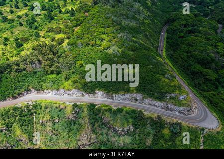 Eine erhöhte Perspektive auf den gewundenen Hana Highway, der durch üppige, lebhafte grüne Landschaften in Maui, Hawaii, führt. Das Bild zeigt das natürliche Be Stockfoto