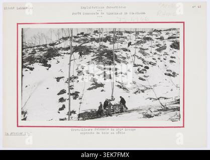Pierre-Charles Lallemand fotografierte 1941 polnische Arbeiter der 973. Gruppe, die Holztransporte per Kabel in Serrières-en-Chautagne in Savoie durchführte. Auf dem Foto sind Arbeitskräfte in der Forstwirtschaft und Mitarbeiter öffentlicher Arbeiten dokumentiert, die im Rahmen von Bergrestaurationen Holz transportieren. Stockfoto