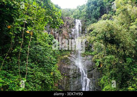 Ein atemberaubender Wasserfall, der eine felsige Klippe hinunterstürzt, umgeben von üppigem tropischem Grün in Maui, Hawaii. Das lebhafte Laub und der ruhige Fluss verkapseln sich Stockfoto