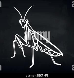 Weiße Linie Illustration eines Mantis-Insekts auf schwarzem Hintergrund, die detaillierte anatomische Merkmale und eine markante Körperstruktur in einem minimalistischen Stil zeigt Stock Vektor