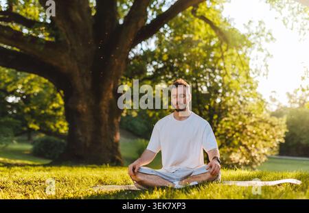Friedliche Meditation Im Freien Unter Großem Baum Stockfoto