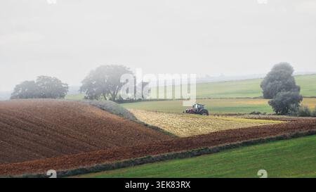 Arbeitsfelder für Traktoren in einer nebeligen ländlichen Landschaft in der Nähe von Navalcarnero, Madrid, Spanien. Stockfoto