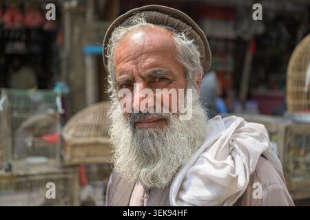 Älterer afghan mit langem weißen Bart, der auf einem geschäftigen Markt in die Kamera schaut Stockfoto