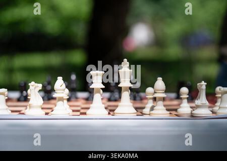 Strategiespielkonzept mit weißen Schachfiguren, die in einer Reihe auf einem Brett in einem Sommerpark stehen Stockfoto