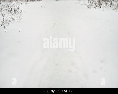 Schneebedeckter Pfad, Der Sich Durch Das Flache Offene Feld Mit Schwachen Spuren Und Verstreuten Getrockneten Stämmen Unter Einheitlichem Grauem Himmel In Ruhiger Winterszene Erstreckt. Stockfoto