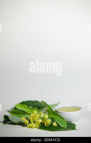 Frische Lindenblüte mit grünen Blättern und einer kleinen weißen Schüssel flüssigen Honig auf weißem Hintergrund. Minimale botanische Zusammensetzung mit natürlichem Licht und Stockfoto