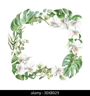 Weiße Orchideen quadratische Vorlage für Text. Zarte Blumen und tropisch grüne Blätter. Handgezeichnete Aquarellillustration, isoliert. Geeignet für Hochzeiten Stockfoto