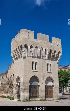 Teil der alten Stadtmauer von Avignon in der Provence Frankreich Stockfoto