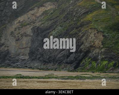 Große Felsformation an einem Sandstrand umgeben von üppiger Vegetation und dem Meer, Trenance, Cornwall, England, Großbritannien Stockfoto