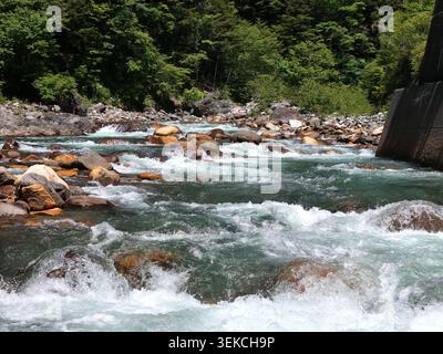 Der rauschende Fluss stürzt mit weißem Schaum gegen Felsen. Grüne Bäume säumen das Ufer. Klares Wasser fließt über glatte Steine. Die Wildnisszene fühlt sich wie fres an Stockfoto