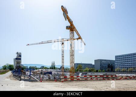 Zwei gelbe Turmkräne stehen über einer großen städtischen Baustelle mit Betonwerk, Barrieren, Straße und modernen Gebäuden unter klarem Himmel. Stockfoto