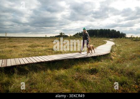 Wanderer mit Hund auf hölzernem ökologischen Weg über Hochmoor im Herbstsumpf Stockfoto