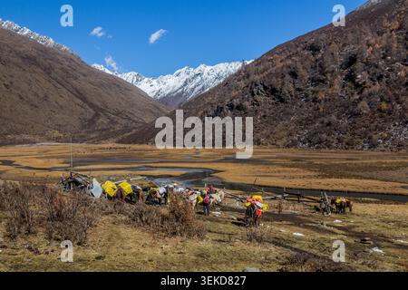 SIGUNIANGSHAN, CHINA - 3. NOVEMBER 2019: Touristen mit Pferden im Haizi-Tal in der Nähe des Siguniang-Berges in der Provinz Sichuan, China Stockfoto