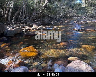 Klarer Bach, der über Steine mit Bäumen über sich führt, Cardwell Region, Queensland, Australien Stockfoto