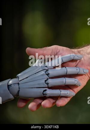 Roboter und menschliche Hände in globaler Partnerschaft. Roboterhände mit menschlichem Einverständnis. Roboterverbindung für die Zusammenarbeit. Menschliche Hände mit Roboter Stockfoto