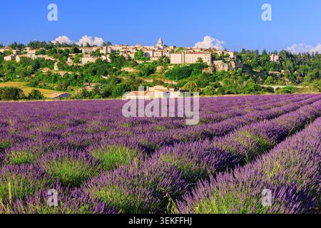 Sault, Provence, Frankreich. Wunderschönes Dorf auf einem Hügel mit Lavendelfeldern. Stockfoto