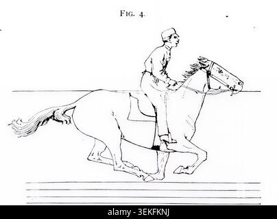 Historische Illustration, die ein Pferd und Reiter galoppiert, zeigt eine spezifische Phase der Bewegungsanalyse des Pferdes, betont Bewegung und wissenschaftliche Beobachtung aus einer antiken Studie. Das Pferd in Bewegung, wie es durch sofortige Fotografie gezeigt wird, mit einer Studie über Tiermechanik, die auf Anatomie und Enthüllungen der Kamera basiert, in der die Theorie der Quadrupedal-Fortbewegung von Jacob Davis Babcock Stillman, 1819–1888, gezeigt wird; Eadweard Muybridge, 1830-1904, veröffentlicht 1882 Stockfoto
