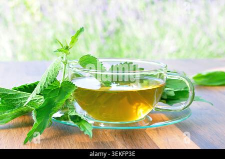 Hausgemachter Brennnesseltee in einer Teetasse mit frischen Brennnesselblättern Stockfoto