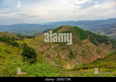 Sanfte Hügel Ugandas mit terrassenförmig angelegten landwirtschaftlichen Feldern in der gesamten Landschaft, Anbau von Kulturen und Berücksichtigung nachhaltiger Landwirtschaftspraktiken in E Stockfoto