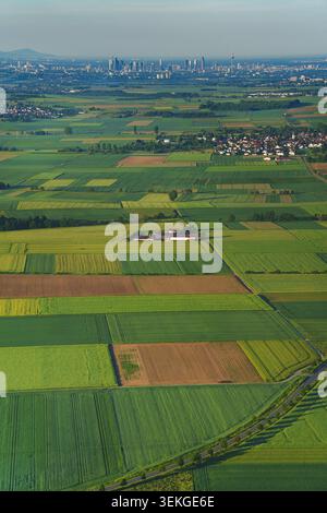 Luftaufnahme eines Feldes bei Sonnenaufgang. Eine Landschaft aus Drohnenperspektive mit Blick auf die Metropole Frankfurt am Main. Eine landwirtschaftliche Landschaft Stockfoto