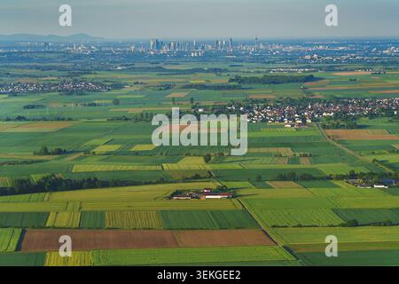 Luftaufnahme eines Feldes bei Sonnenaufgang. Eine Landschaft aus Drohnenperspektive mit Blick auf die Metropole Frankfurt am Main. Eine landwirtschaftliche Landschaft Stockfoto