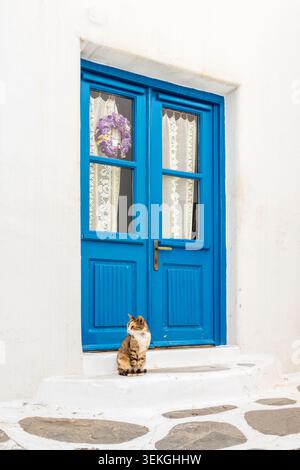 Streunende Katze und blaue Tür in Mykonos, Kykladen, Griechenland Stockfoto