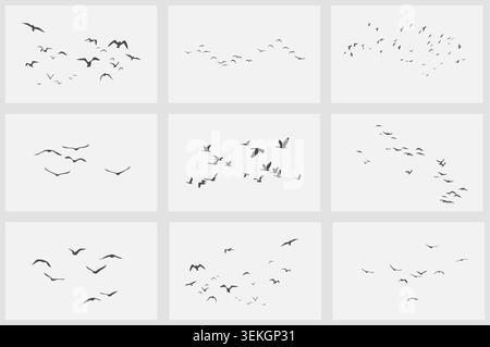Set von fliegenden Vogel Silhouetten in verschiedenen Herdenanordnungen und Posen, minimalen schwarzen Formen für Natur, Freiheit, Migration und Design verwenden Vektor-Illustration Stock Vektor