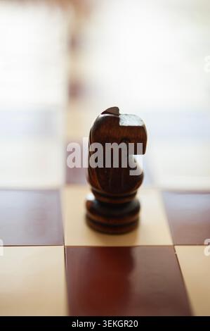 Dunkler hölzerner Schachritter auf Schachbrett, isoliert mit sanfter Hintergrundbeleuchtung und flachem Fokus Stockfoto