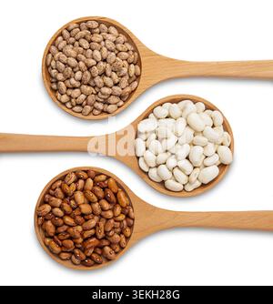 Verschiedene Bohnen in Holzlöffeln isoliert auf weißem Hintergrund mit Pinto-, weißen und Borlotti-Bohnen von oben angeordnet. Stockfoto