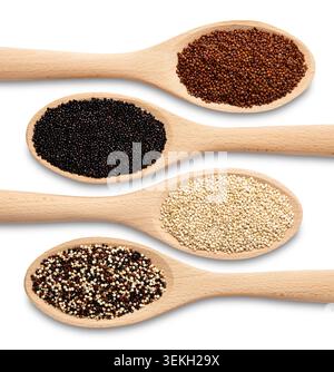 Verschiedene Quinoa in Holzlöffeln. Weiße, rote, schwarze und gemischte Quinoa-Sorten auf hellem Hintergrund. Stockfoto