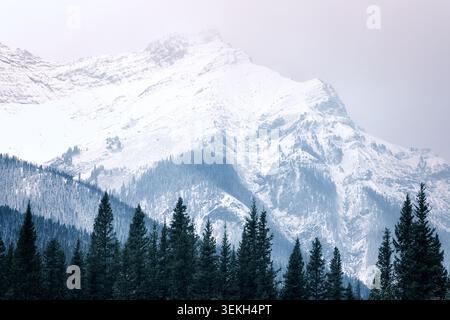 Schneebedeckte Bergkette mit immergrünen Kiefern, die eine kalte alpine Landschaft darstellen Stockfoto