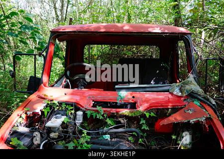 Roter verlassener Lkw, der langsam in einem bewachsenen Wald verfällt, mit Kletterstöcken und Rost, symbolisiert den Lauf der Zeit und der Natur, die den Menschen zurückerobern Stockfoto
