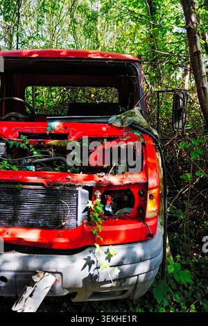 Verrostete rote Lkw-Karosserie, rostet und mit grünem Efeu und Laub bewachsen, langsam vom dichten Wald um ihn herum absorbiert, der Verfall und r zeigt Stockfoto