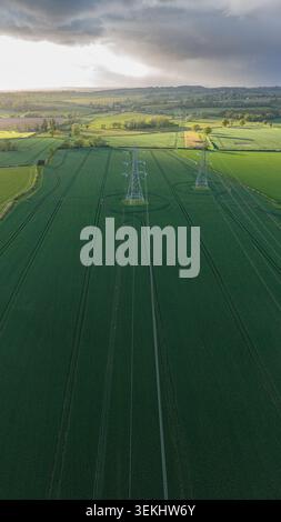 Vertikale Luftaufnahme von Hochspannungs-Strommasten, die landwirtschaftliche Nutzflächen durchqueren Stockfoto