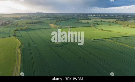 Luftaufnahme von Stromübertragungsmasten über grüne Felder bei Sonnenuntergang Stockfoto
