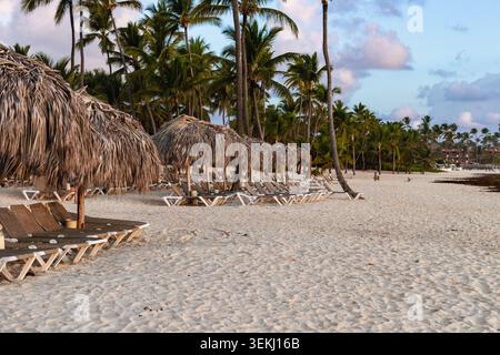 Blick auf Reihen von langen Stühlen mit Strohschirmen an einem Strand bei Sonnenaufgang mit Palmen im Hintergrund Stockfoto