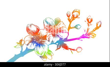 Kirschzweige mit Blumen, farbiges Sakura-Isolat auf weißem Hintergrund. Handgezeichnet. Nicht AI, Vektordarstellung. Stock Vektor