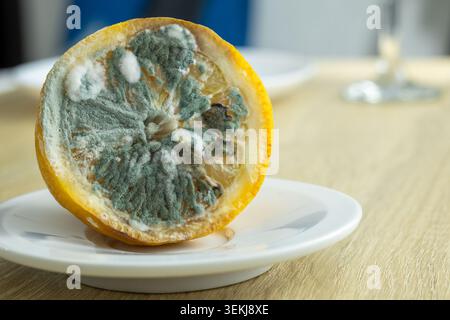 Eine verfaulte Zitrone, bedeckt mit Schimmel auf einem weißen Teller auf einem Holztisch Stockfoto
